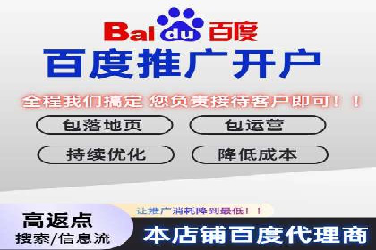 探索百度竞价代理的未来发展趋势与挑战